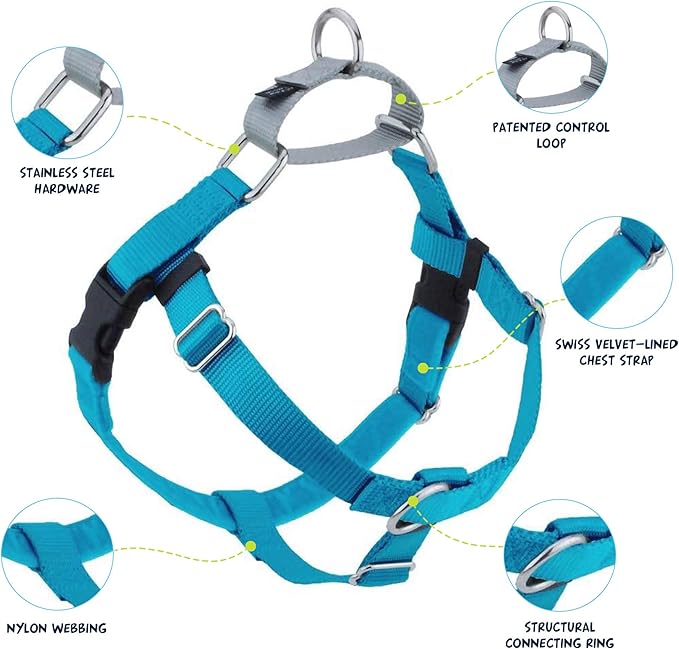 2 Hounds Design Freedom No Pull Dog Harness, Adjustable Harness and Leash Set, Easy Walking & Comfortable Control, Fits Small, Medium & Large Dogs, Solid Colors, Made in USA, 1" XXL, Turquoise