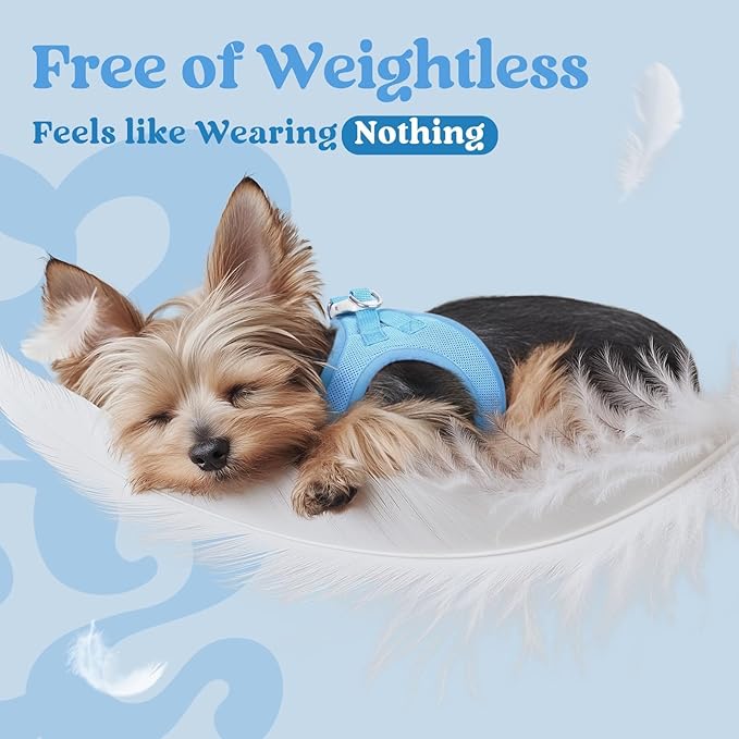 rabbitgoo Small Dog Harness, Step-in Soft Mesh Puppy Vest with Safety Buckle, Breathable Reflective Pet Harness for Small Sized Dogs, Blue XS