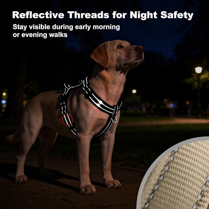 No Pull Dog Harness with Handle, Soft Mesh Padded Adjustable for Small Medium Large Dogs | Reflective Easy Walk Harness with Front Clip for Training, Running & Outdoor (Beige, XS)