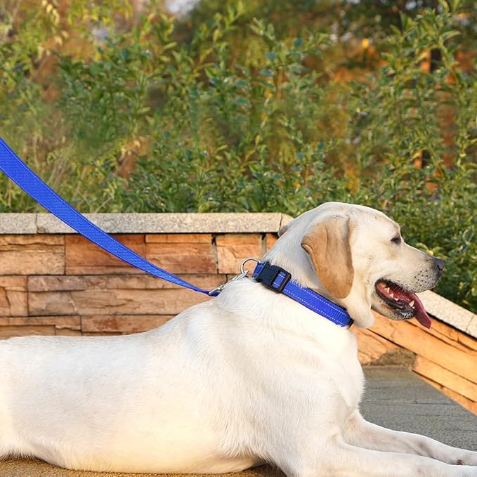 Dog Leash 6 FT Padded Handle Nylon Reflective Dogs Leashes for Medium Dogs Blue