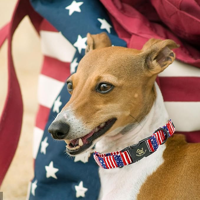 Elegant little tail Independence Dog Collar, Holiday Pet Collar Patriotic Dog Durable Dog Collars Girl or Boy Soft Pet Gift Adjustable Dog Collar for Small Medium Large Dogs