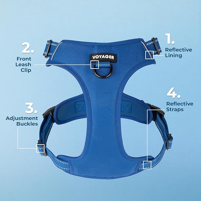 Voyager Dog Harness Dual Leash Attachment No-Pull Control Adjustable Soft but Strong Pet Harness for Medium and Large Dogs with 3M Reflective Technology, Royal Blue Lattice Nylon, XL (Chest: 28-37")