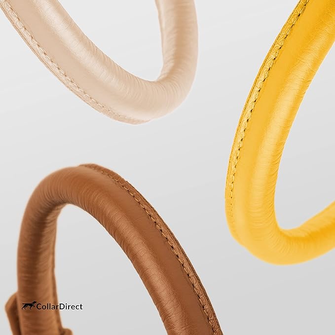 CollarDirect Rolled Leather Dog Collar, Soft Padded Round Puppy Collar, Handmade Genuine Leather Collar Dog Small Large Cat Collars 13 Colors (6-7 Inch, Yellow Textured)