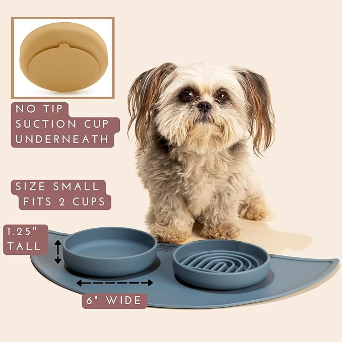 Should We Go? Dog Water Bowl - The Perfect Dish No-Spill, Less Mess Non-Tippable Water & Food Bowl, Pure Silicone with Suction Cup Fits 2 Cups 6” Across x 1.25” Tall Ideal for All Pets, Small-Charcoal