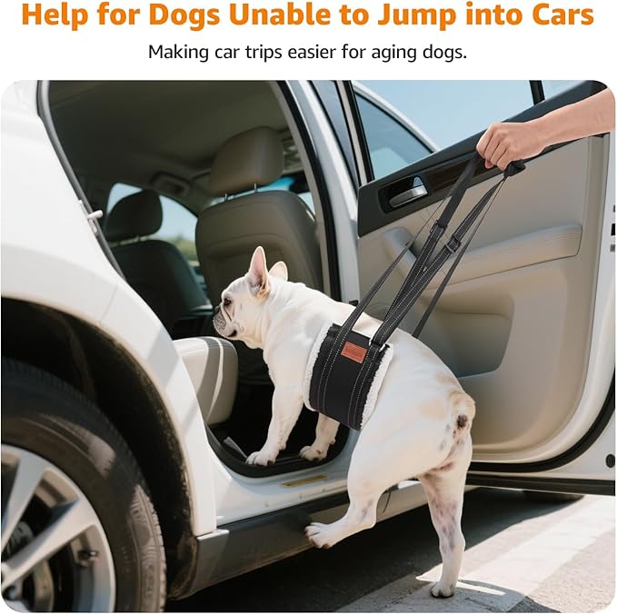 LOOBANI Portable Dog Sling for Back Legs, Hip Support Harness to Help Lift Dogs Rear for Canine Aid and Old K9 Cruciate Ligament Rehabilitation