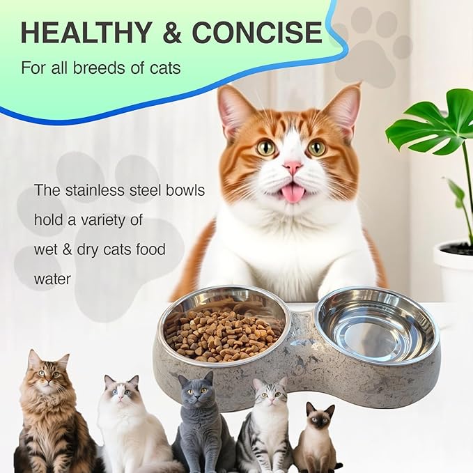Double Dog Bowls with Non-Slip Tray, 2-in-1 Stainless Steel Pet Feeder for Dogs & Cats, Removable Easy-Clean Dishwasher Safe Bowls