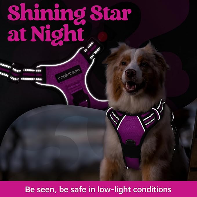 rabbitgoo Dog Harness for Large Dogs, No Pull Pet Vest with 3 Buckles, Adjustable Soft Padded Pet Harness with Easy Control Handle and Reflective Strips, Purple, XL