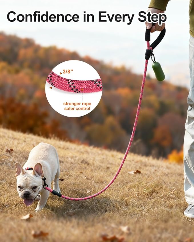 Joytale Dog Leash for Small Dogs, Heavy Duty Nylon Leashes with Comfortable Padded Handle and Highly Reflective Threads, Ideal for Walking and Training, Pink, 5'횞3/8''