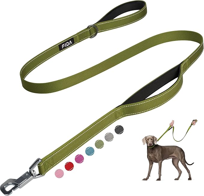 Fida 4 FT Heavy Duty Dog Leash with 2 Comfortable Padded Handles, Traffic Handle & Advanced Easy Snap Hook, Reflective Walking Lead for Large, Medium & Small Breed Dogs, Green