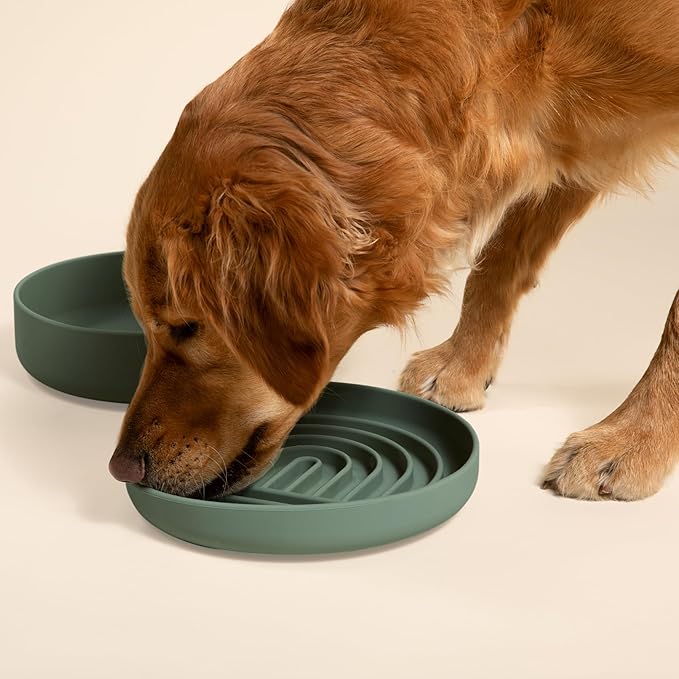 Should We Go? Slow Feeder for Dogs & Puppies, The Slowdown Bowl Silicone Slow Eating, Modern Lick Mat Design, Reduces Gulping, Fits 2.5 Cups, 9.5” Across x 1.5” Tall, Mealtime Challenge, Large-Spruce