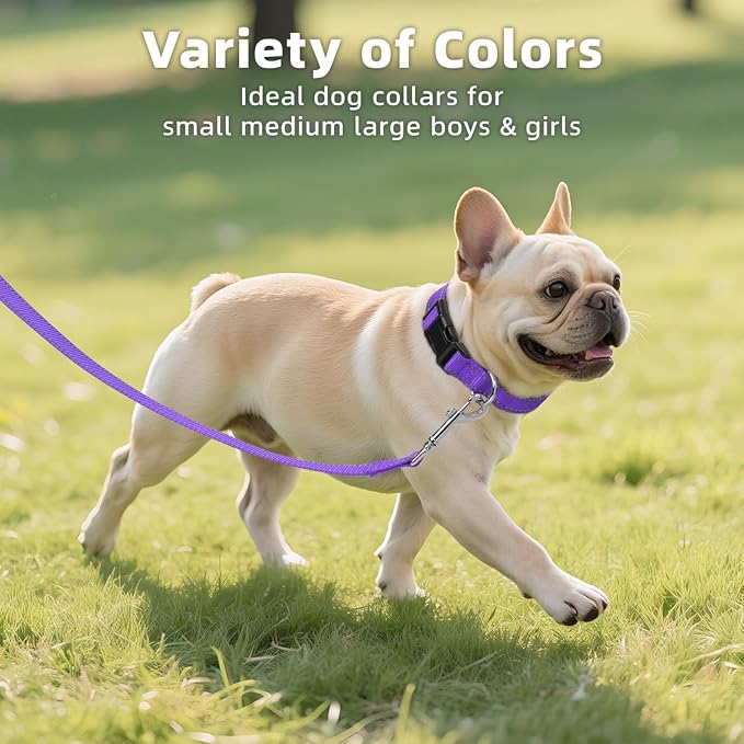 Purple Dog Collar for Mediunm Dogs, Reflective Adjustable Collar with Soft Neoprene Padded, Durable Buckle for Daily Walking,Purple,M, 3/4" Width