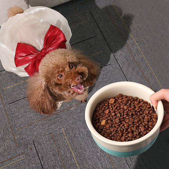 Sweejar Ceramic Dog Bowls, Dog Food Dish for Large Dogs and Cat, Heavy Duty Porcelain Pet Bowl for Canned Food and Water 78 Fl Oz （White）