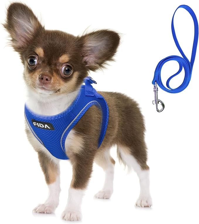 Fida Comfy Dog Harness with Leash, Soft Puppy Vest Escape Proof, Breathable Lightweight Soft Mesh, Adjustable Reflective Step-in Harness for Small Pet Walking (S, Blue)