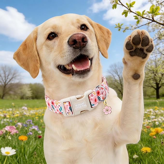 Elegant little tail Dog Collar, Pink Flower Print Spring Soft Cotton Puppy Collars Adorable Female Pet Gift Lightweight Plastic Adjustable Dog Collar for Small Dogs
