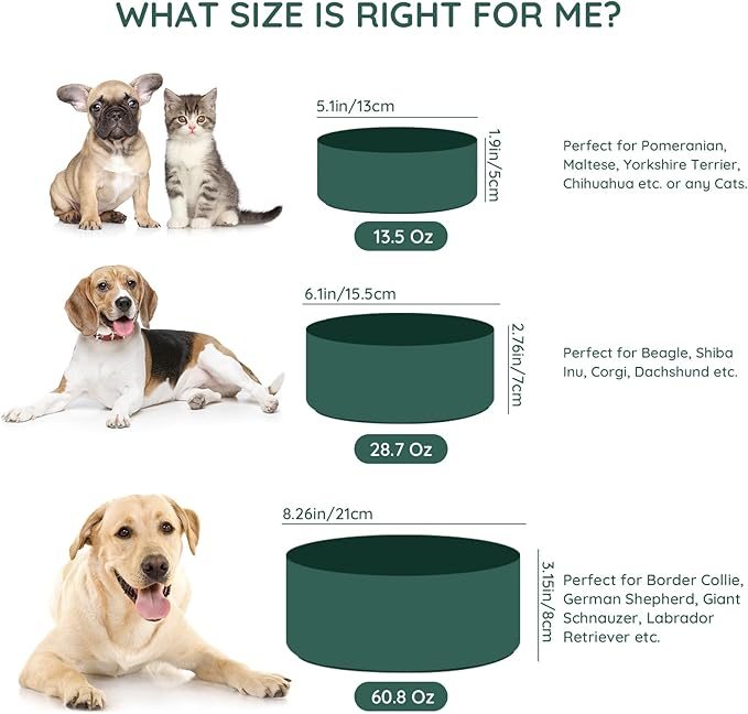 SPUNKYJUNKY 13.5OZ Ceramic Dog and Cat Bowl, Modern Cute Weighted Food Water Bowl for Replacement Green (1 Pack)