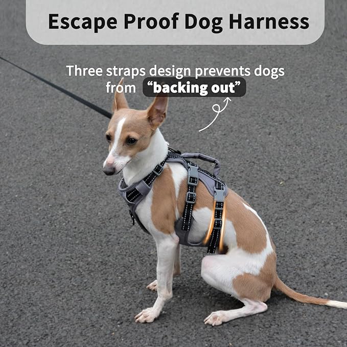 Huntboo Reflective Dog Harness with Handle, Escape Proof, No Slip, Breathable, Lightweight, Adjustable Lift Harness for Small, Medium, and Large Dogs Walking, Training, and Running Gear(Black,XS)
