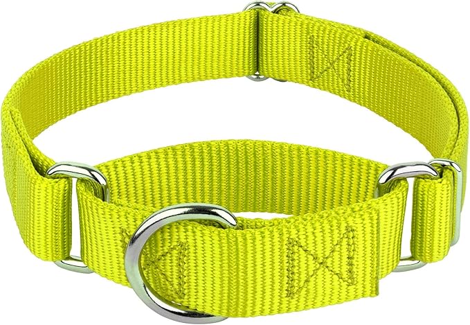Country Brook Petz - Martingale Dog Collar - Heavy-Duty Training Collar with No Buckle - Service Dog Collar for All Pups - 10+ Warm Colors (Hot Yellow, 5/8 Inch, Extra Small)
