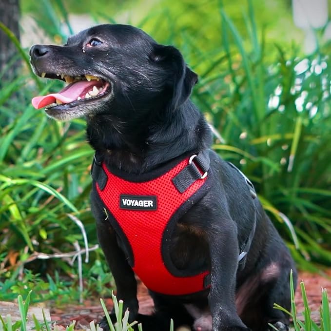 Voyager Step-in Pet Harness - All Weather Mesh, Adjustable Step in Harness for Cats and Dogs by Best Pet Supplies - Red/Black Trim, S