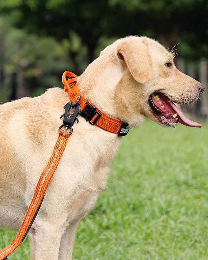Joytale Tactical Dog Collar with Handle, Adjustable Heavy Duty Military Collar with 2 Patches for Training, Suitable for XLarge Dogs, Orange, XL