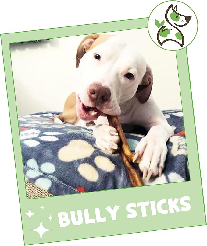 Nature Gnaws Bully Sticks for Dogs 5-6" (8oz) - Mixed Thickness - Long Lasting for Aggressive Chewers and Large Dogs - Natural Beef Dog Chew Bones
