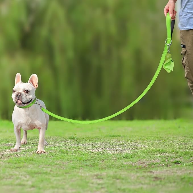 Joytale Dog Leash Heavy Duty for Small Medium Dogs, 6 FT Reflective Nylon Pet Walking Lead with Soft Padded Handle, Durable & Tangle Free for Training, Running & Safety Control, Green