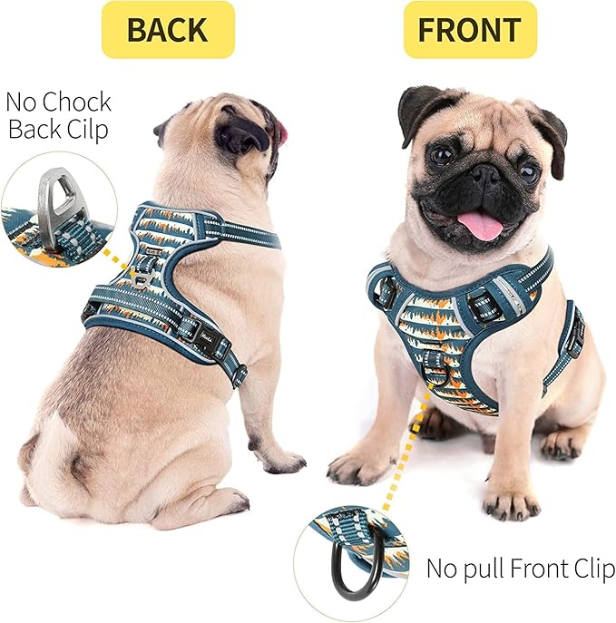 HEELE Dog Harness, No Pull Adjustable Padded Reflective Harness for Small Medium Large Dogs with Handle for Walking Training, Flower-Sunset Valley, S
