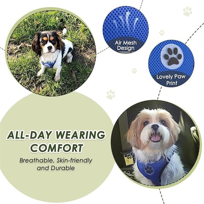 Lukovee Dog Seat Belt for Car, Adjustable Dog Car Harness for Large Medium Small Dogs, Soft Padded & Breathable Mesh Dog Seatbelt with Car Strap and Carabiner (Blue,XS)