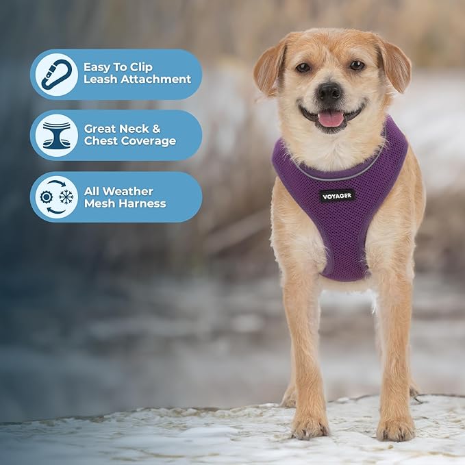 Voyager Aerolite Over The Head Dog Harness, No Pull Breathable Air Mesh Vest, Quick Dry with Reflective Stitching, Adjustable Escape Resistant Harness for Small Medium Large Dogs - Purple, Small