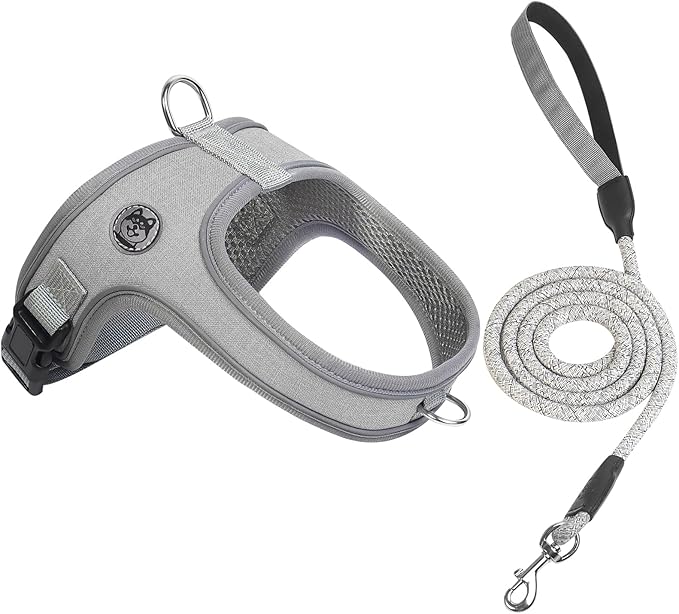 Dog Harness and Leash Set, No Pull Saddle Style Pet Harness, Breathable Mesh Adjustable Reflective Dog Vest for Dogs and Cat Medium Small Harness 2 D-Rings (Grey, M)