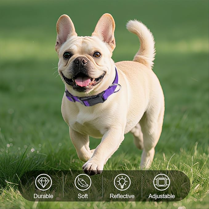 Purple Dog Collar for Mediunm Dogs, Reflective Adjustable Collar with Soft Neoprene Padded, Durable Buckle for Daily Walking,Purple,M, 3/4" Width