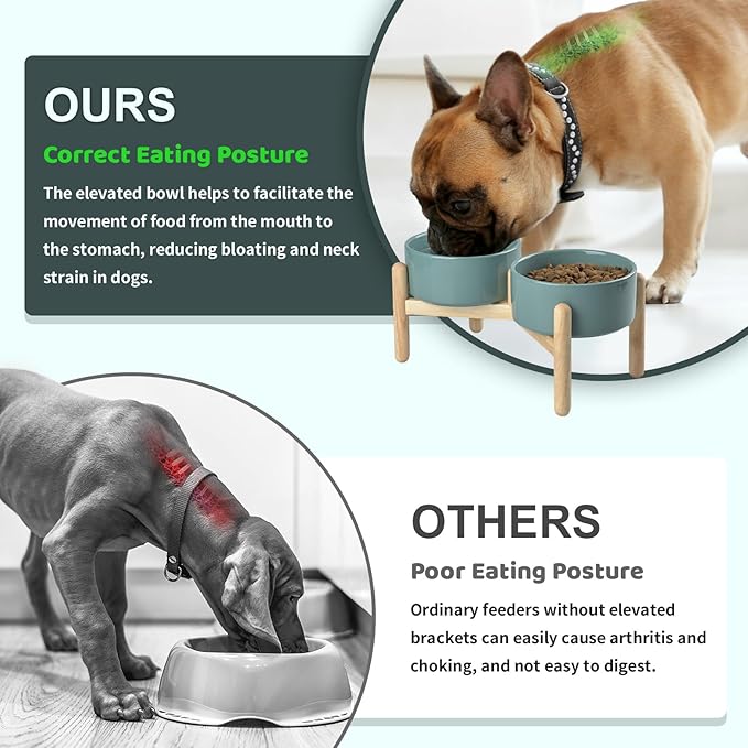 SPUNKYJUNKY Ceramics Raised Dog Bowls with Wooden Stand - Elevated Dog Feeding Set (Double 28.7OZ, Dark Green)