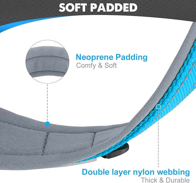 Joytale Dog Collar for Large Dogs, Neoprene Padded and Adjustable, Reflective Wide Heavy Duty Pet Collars with Durable Metal Belt Buckle for Walking, Sky Blue, L