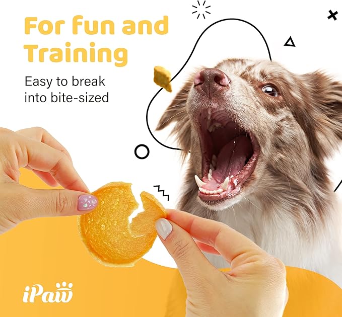 iPaw 2 Saver Combo Turkey Chips Dog Treats for Puppy Training, All Natural Human Grade Dog Treat, US Sourced Raw Material, Hypoallergenic, Easy to Digest (Turkey Chips), 2 Packs