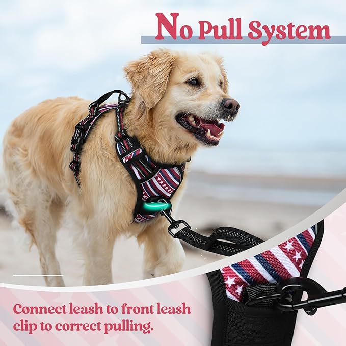 rabbitgoo Dog Harness No Pull with 2 Leash Clips, Adjustable Soft Padded, Reflective Oxford No Choke Pet Vest with Easy Control Handle for Large Dogs, Red Stripe, XL