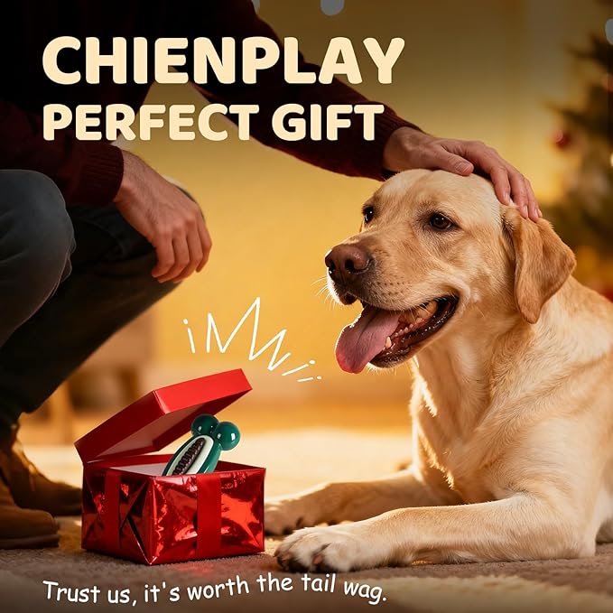 Dog Toys for Aggressive Chewers: Dog Treat Chew Toys, Long-Lasting Durable Dog Toys to Keep Them Busy, Indestructible Dog Enrichment Bones for Small Medium Large Breeds 25-80lbs, Beef Flavor