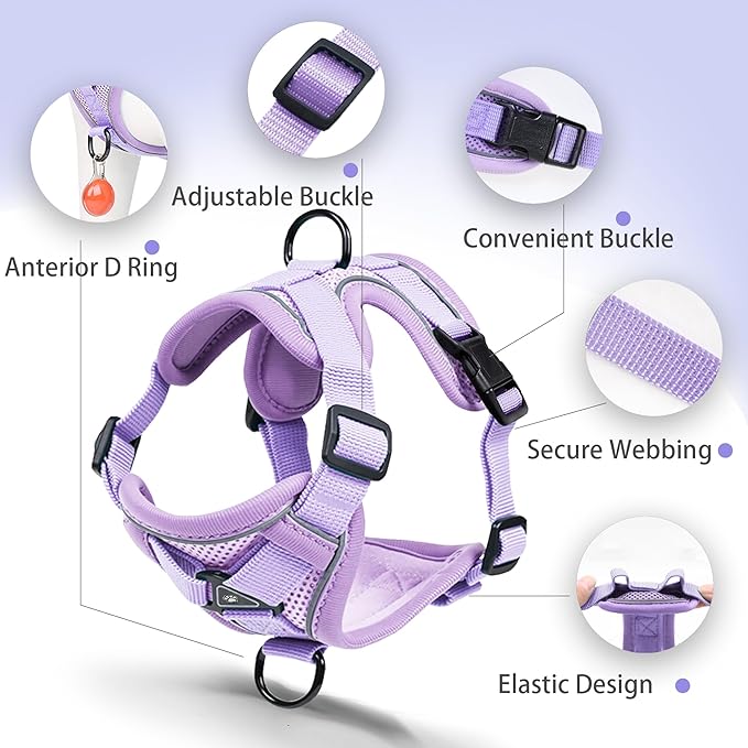 No Pull Dog Harness with Leash Set for Small Sized Dog, Reflective Adjustable No Choke Front Clip Cat Vest Harness with Breathable Mesh, Comfortable Soft Padded Pet Vest, Purple M