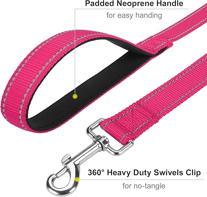 Reflective Dog Leash 4ft Soft Padded Handle Nylon Lead for Small & Medium Dogs, Durable Walking Training Leash for Night Safety (Hotpink,3/4Inch Wide)