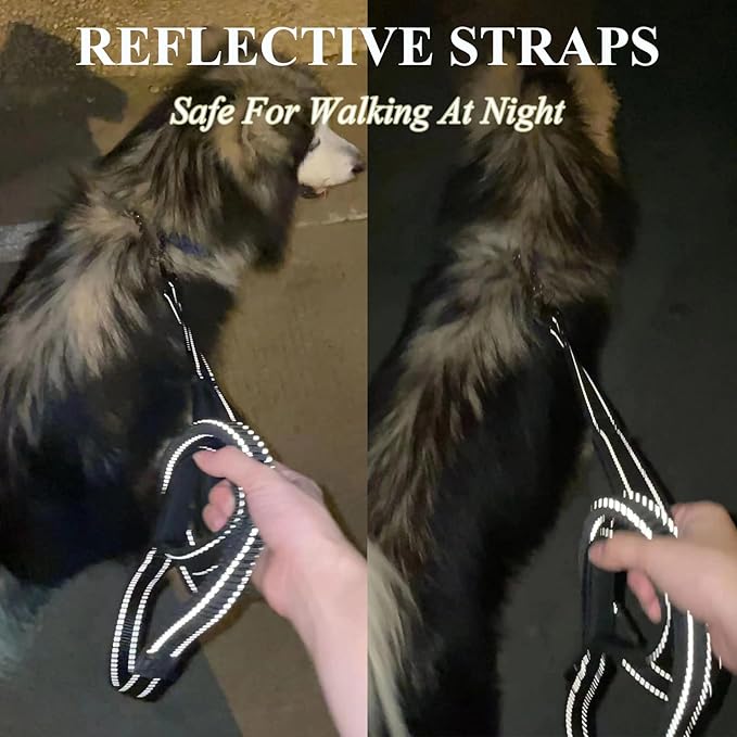 ECO-CLEAN 6 Ft Reflective Dog Training Leash, Shock Absorbing Retractable Strong Dog Leash for Medium Large Dogs