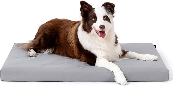 Cybarmour Indestructible Dog Bed - Outdoor Waterproof Chew Proof Dog Crate Pad - Orthopedic Kennel Mat for Aggressive Chewers - Large Breeds & Fits 36-Inch Crate - 35"x22", Limestone