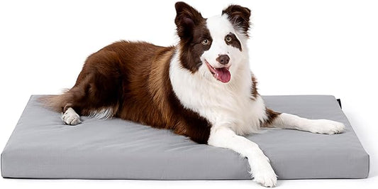 Cybarmour Indestructible Dog Bed - Outdoor Waterproof Chew Proof Dog Crate Pad - Orthopedic Kennel Mat for Aggressive Chewers - Large Breeds & Fits 36-Inch Crate - 35"x22", Limestone