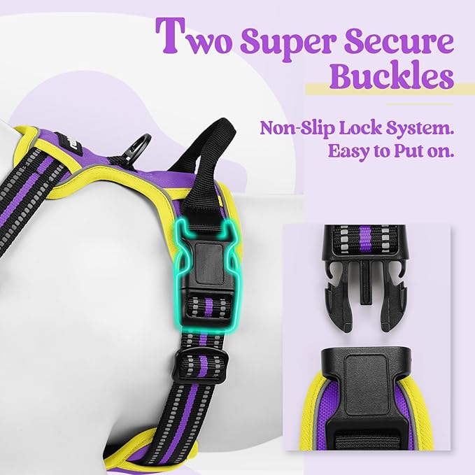 rabbitgoo Dog Harness No Pull with 2 Leash Clips, Adjustable Soft Padded, Reflective Oxford No Choke Pet Vest with Easy Control Handle for Medium Sized Dogs, Purple & Yellow, M