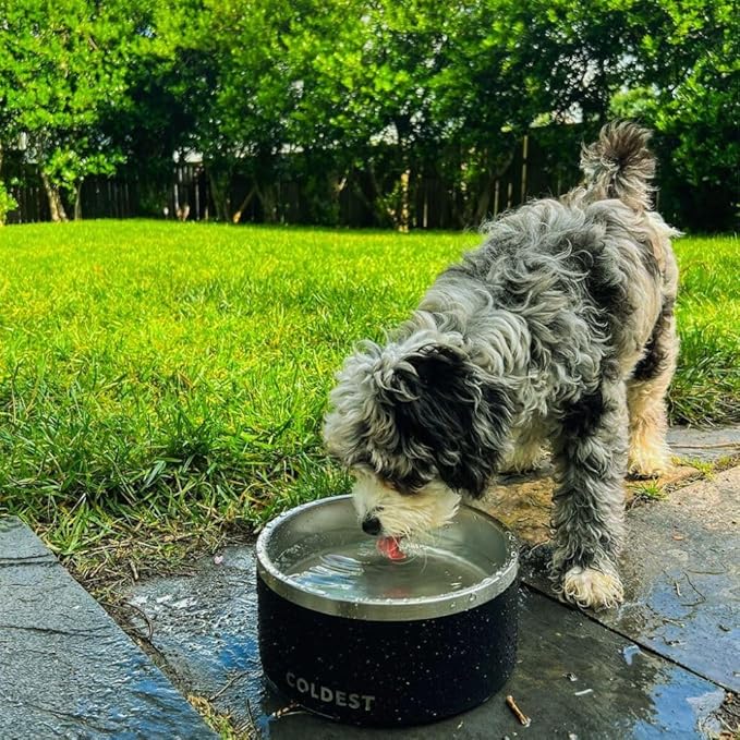 Coldest Dog Bowl - Anti Rust Metal, Non Slip, 3 Layers Insulated Stainless Steel Dog Bowls - Spill Proof & Heavy Duty - Water Bowl for Dogs, Cats & Pets, Dish Washer Safe (64 oz, Black Leopard)