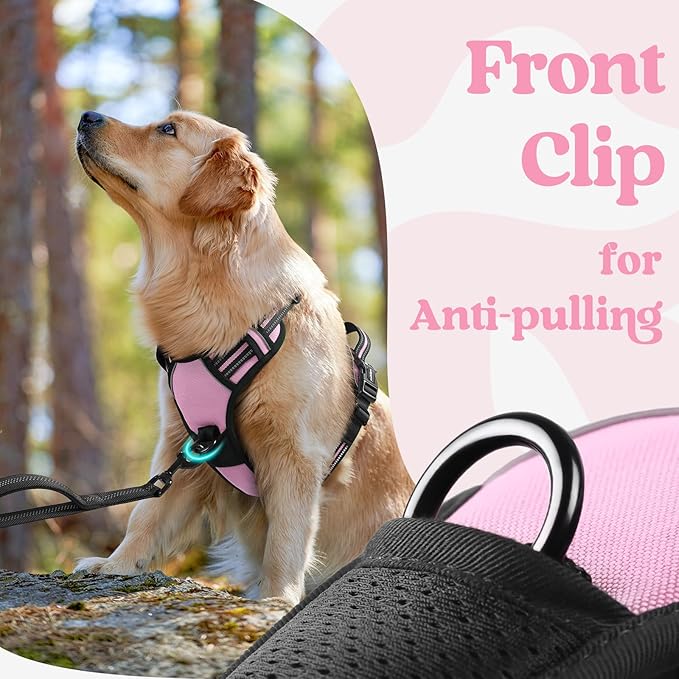 rabbitgoo Dog Harness Small Sized, No Pull Pet Harness with 3 Buckles, Adjustable Soft Padded Vest with Control Handle, Walking Reflective Pet Vest for Small Dogs, Pink, S