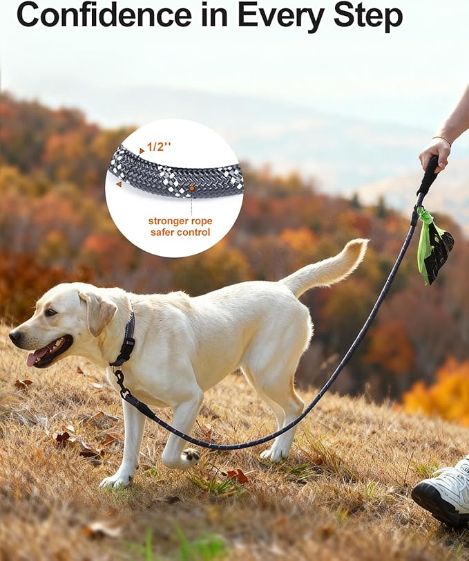 Joytale Dog Leash for Large Dogs, Heavy Duty Nylon Leashes with Comfortable Padded Handle and Highly Reflective Threads, Ideal for Walking and Training, Gray, 6'횞1/2''