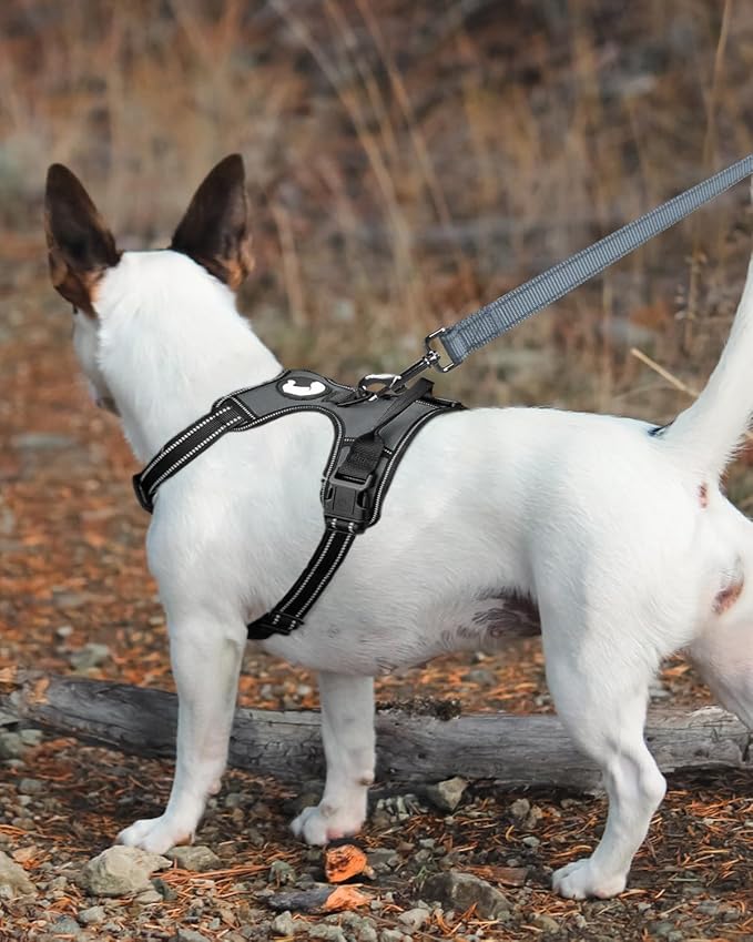 Joytale Dog Leash Heavy Duty for Small Medium Dogs, 5 FT Reflective Nylon Pet Walking Lead with Soft Padded Handle, Durable & Tangle Free for Training, Running & Safety Control, Gray