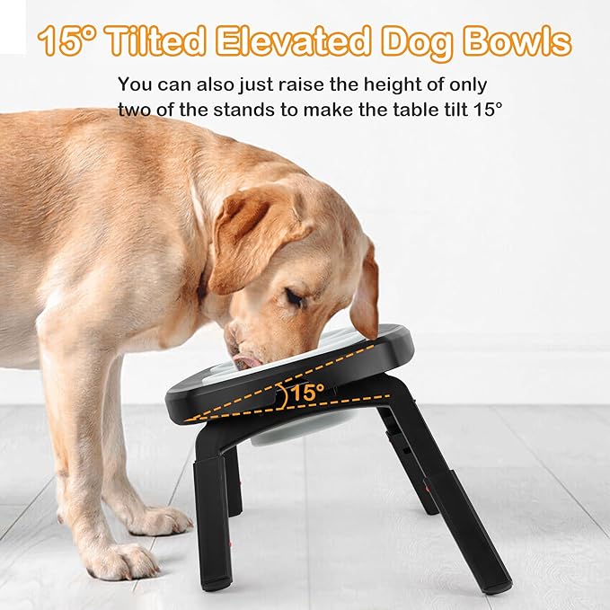 Adjustable Elevated Dog Bowls Stand – 4-Level Height Portable Feeder with Collapsible Silicone Bowls, Non-Slip Base for Medium & Large Dogs – Travel Dog Bowl & Water Dish