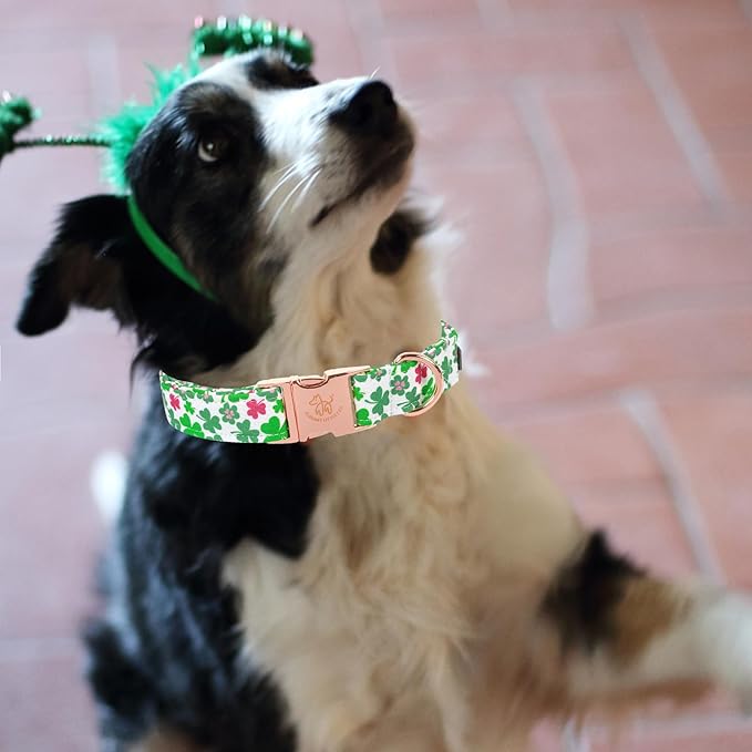 Elegant little tail St Patrick's Dog Collar, Green Clover Pet Collar Cotton Soft Holiday Pet Collar Cute Puppy Collar Adjustable Pet Dog Collars for Small Dogs