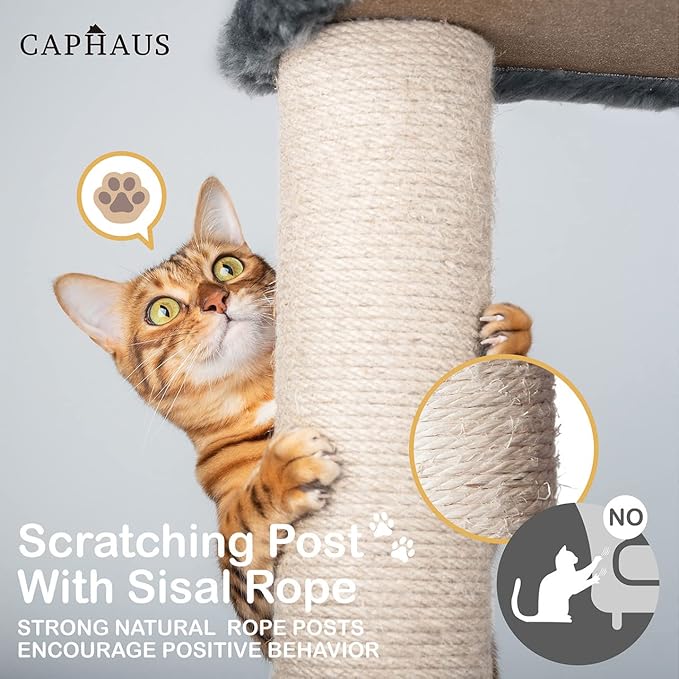 CAPHAUS Tall Cat Tree for Indoor Cats, Modern Cute 70-Inch Climbing Play Tower with Top Perch Large Cats Kittens, Multi-Level Activity w Scratching Posts, Hammock, Cave Condo, Smoky Grey