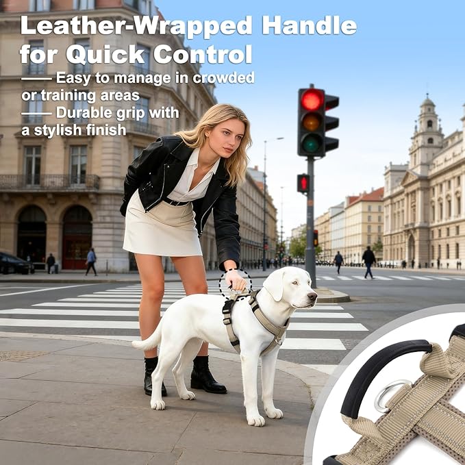 No Pull Dog Harness with Handle, Soft Mesh Padded Adjustable for Small Medium Large Dogs | Reflective Easy Walk Harness with Front Clip for Training, Running & Outdoor (Beige, L)