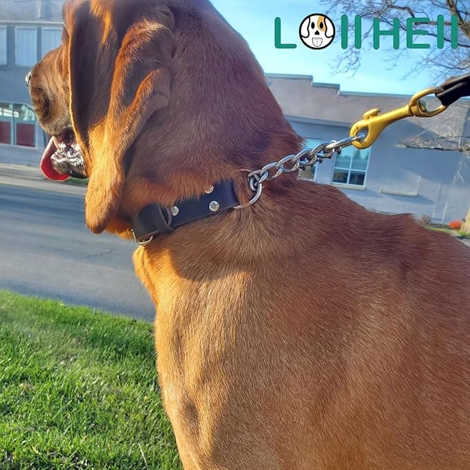 Martingale Collar for Dogs No-Pull Adjustable Training Collar with Stainless Steel Chain - Genuine Leather Anti-Slip Design for Small,Medium,Large Breed Dogs - Brown (S)